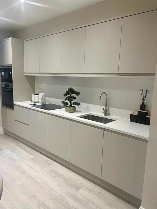 New Flat In Holland Park Apartment London Exterior photo